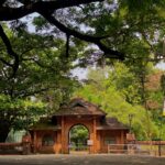 Mananchira Square _ Kozhikode _ Kerala _ God’s own country _ SM Street _ India